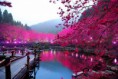 /album/las-noticias-de-alto-impacto7/reflections-jpeg/